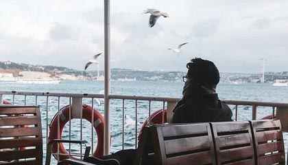 “老登股”，逆势大涨！