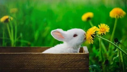 中南大学湘雅医院研究生坠江事件，联合调查组通报【新闻速览】